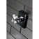 Kingston Brass Single-Handle Wall Mount Three-Way Diverter Valve with Trim Kit