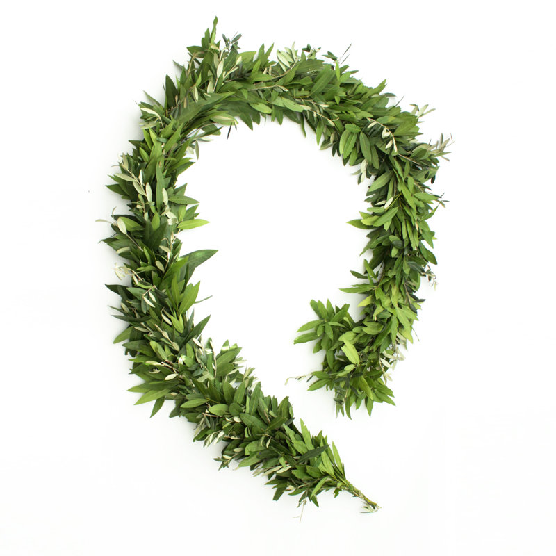 Fresh Bay Laurel Leaves Natural Garland