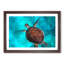 A Sea Turtle in Abstract - Framed Print-55629320-55629325