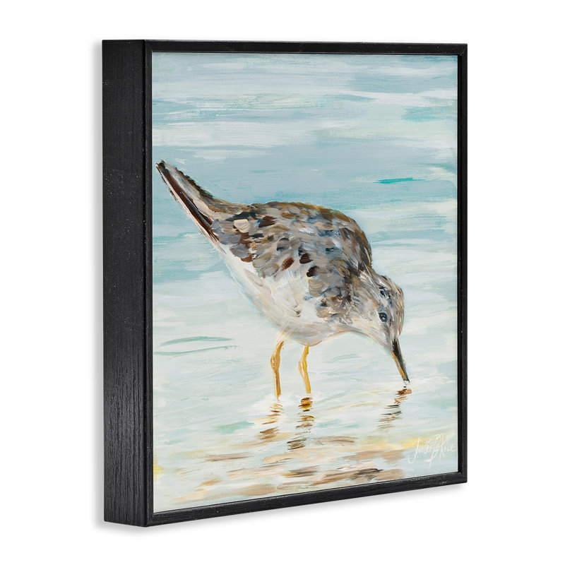 «Gray Beach Sandpiper», estampe numérique par Julie DeRice, Giclée encadrée noir minuit, H 12 po x l 12 po