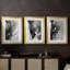 ANIMALS Series Lxxx - impression encadrée sur mesure de qualité supérieure - 3 pièces-890103561-890103565