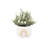 9.5'' Faux Eucalyptus Plant in Ceramic Planter