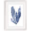 « algues under water iv » par paul cezanne-cadre photo, reproduction d’art-450035876-450071984-450071989