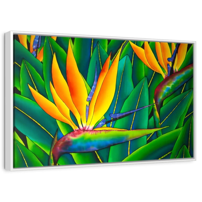 Oiseau luxuriant du paradis, Cadre flottant blanc, 25 po x 17 po