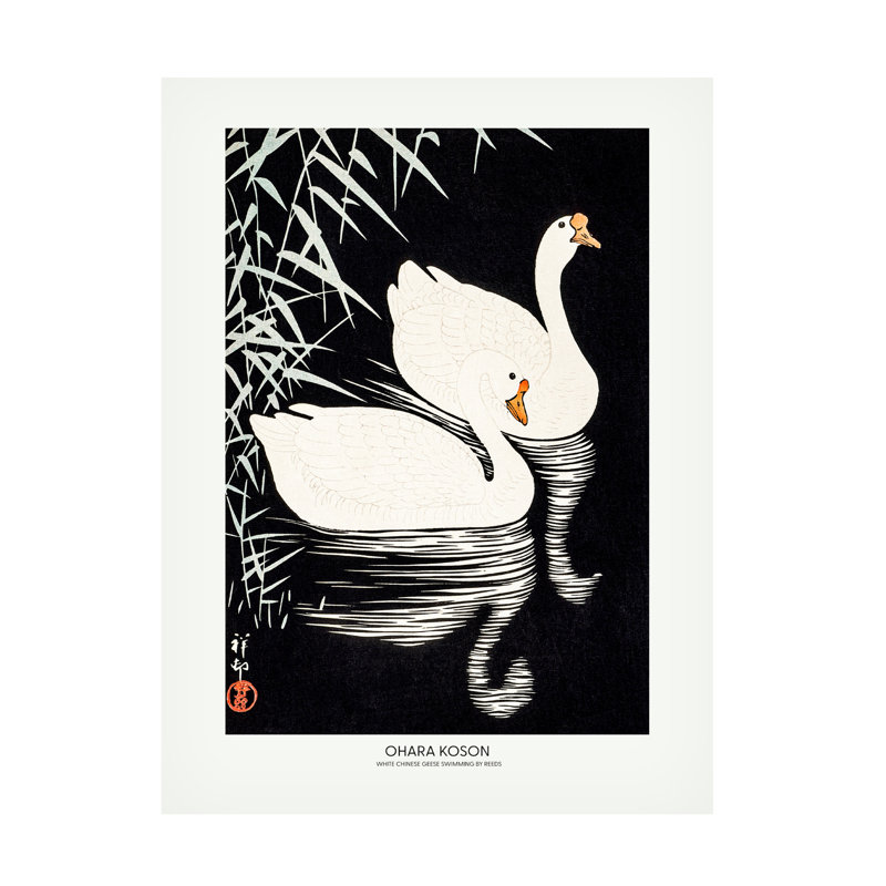 Oies blanches chinoises sur toile, images