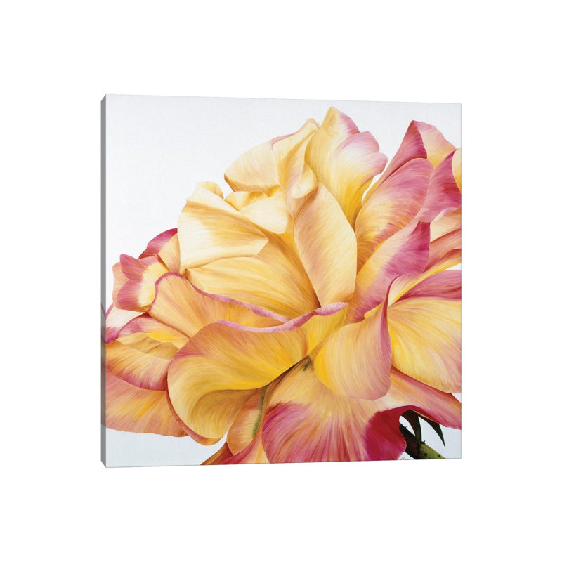 Beautiful Rose 1 Piece Wrapped Canvas Wall Art, 66.04 cm H x 66.04 cm W