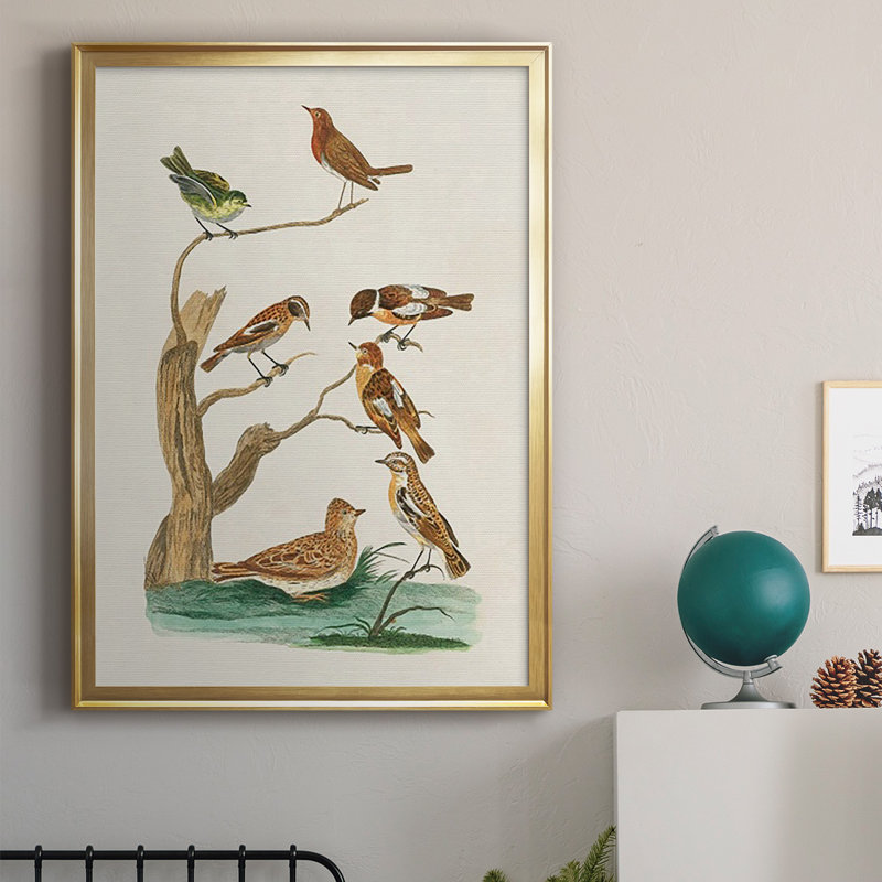 «Antique Birds In Nature III», reproduction encadrée de qualité supérieure - prête à être accrochée, Or