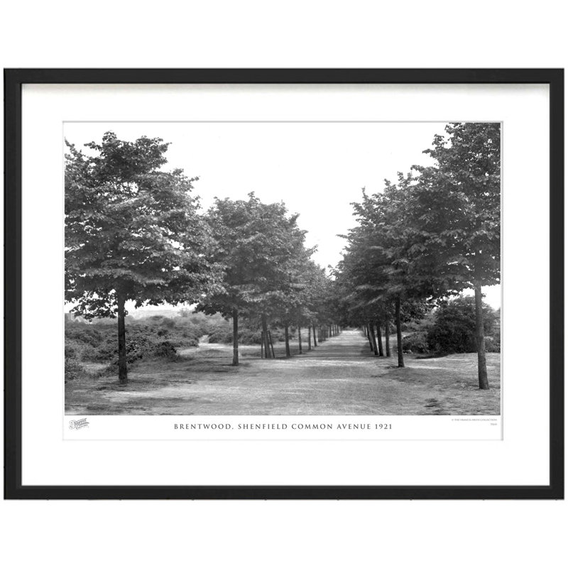 Brentwood, Shenfield Common Avenue 1921 by Francis Frith - Single Picture Frame Print, 60cm H x 80cm W x 2.3cm D