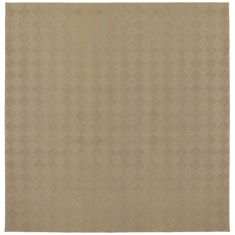 Thayer Indoor Rug, Square 12'