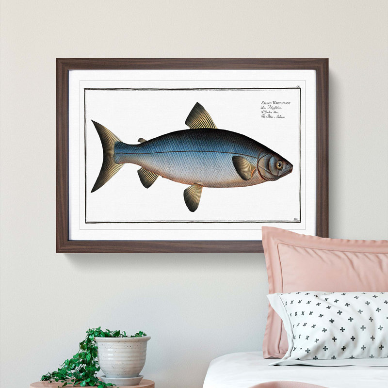 Blue Salmon Fish by M.E. Bloch - Picture Frame Painting Print, 36cm H x 48cm W x 2cm D, Walnut Framed
