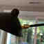 Photos des clients 2 de 4