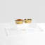 Plateau d'alimentation transparent-1493578814-1483076005
