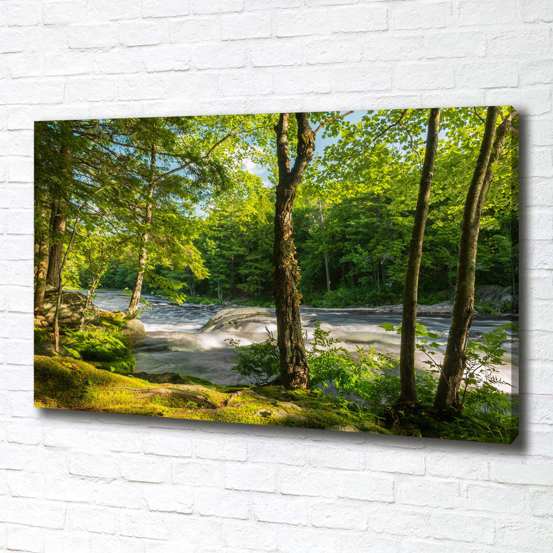 Fluss im Wald - Kunstdrucke auf Leinwand