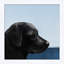 Cali Collection 13 Print by Nathan Turner