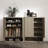 Large Storage Organizer Modern Shoe Rack
