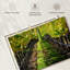Yarlin Napa Valley Vineyard-111858767