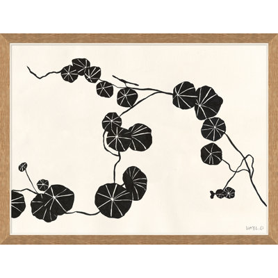 Nasturtium 1 Giclee Print by Susan Hable