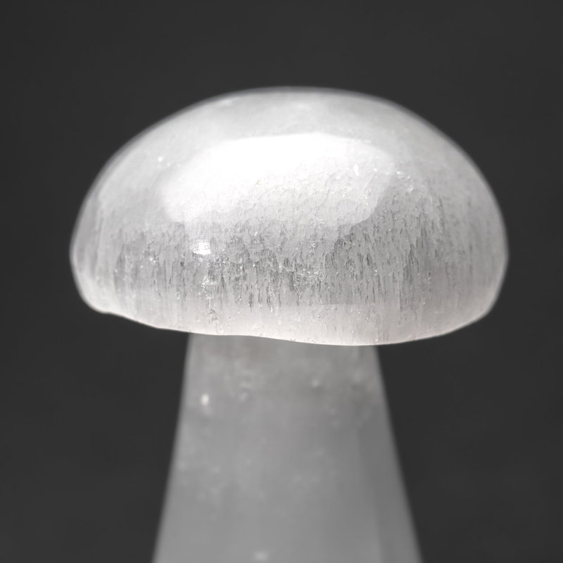 Cloche Or Water Globe