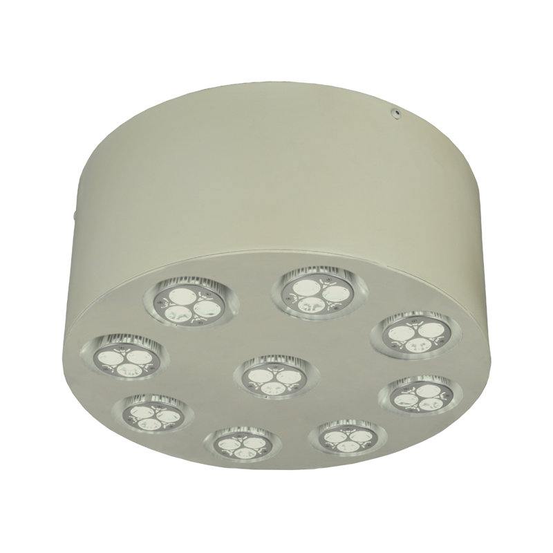 LED Flush Mount