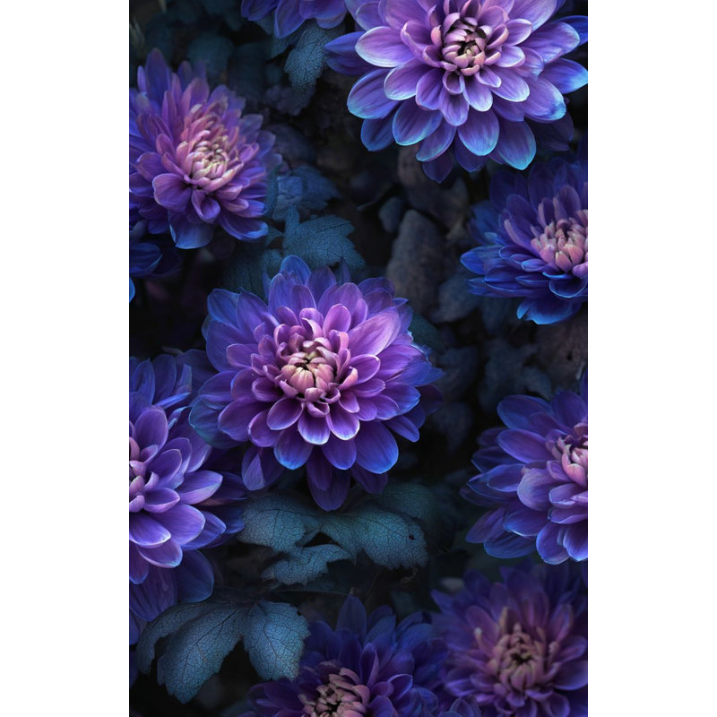 Papier peint floral, décoration murale moderne mauve