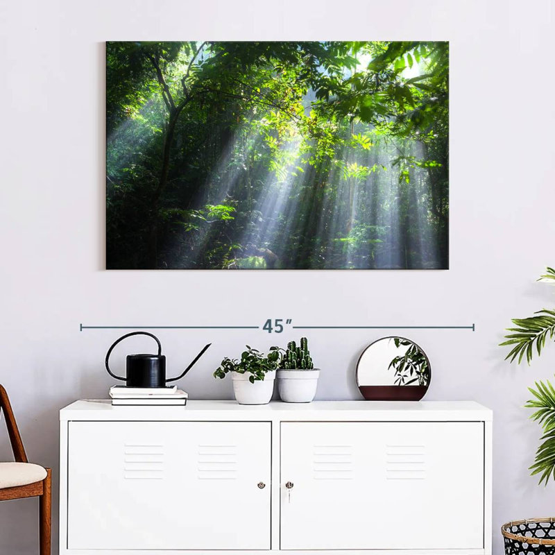 Alvord Malaysian Forest