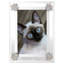Paw Print Metal Picture Frame-49812493