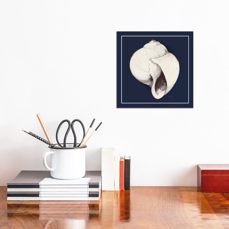Coastal Shell I With Border Navy, 30.48cm H x 30.48cm W x 1.91cm D