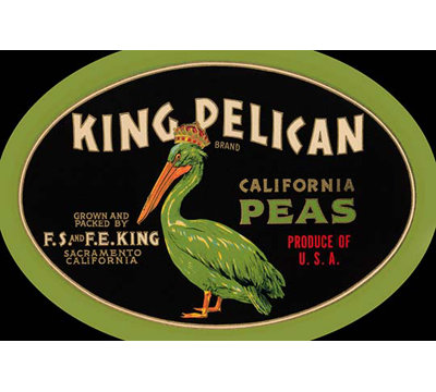 « king pelican california pois », affiche rétro