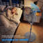 Floor Fan-124562663