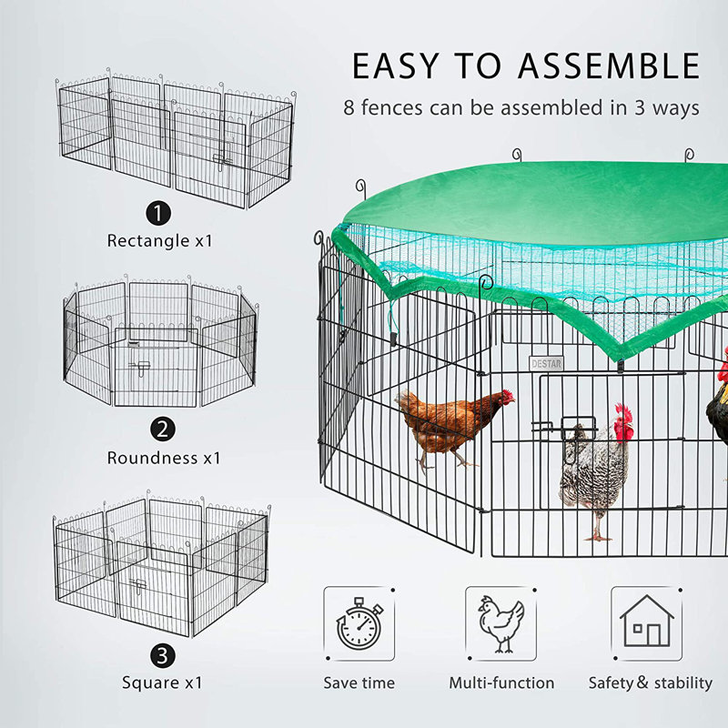 Dammian 1.5 ft² Chicken Run