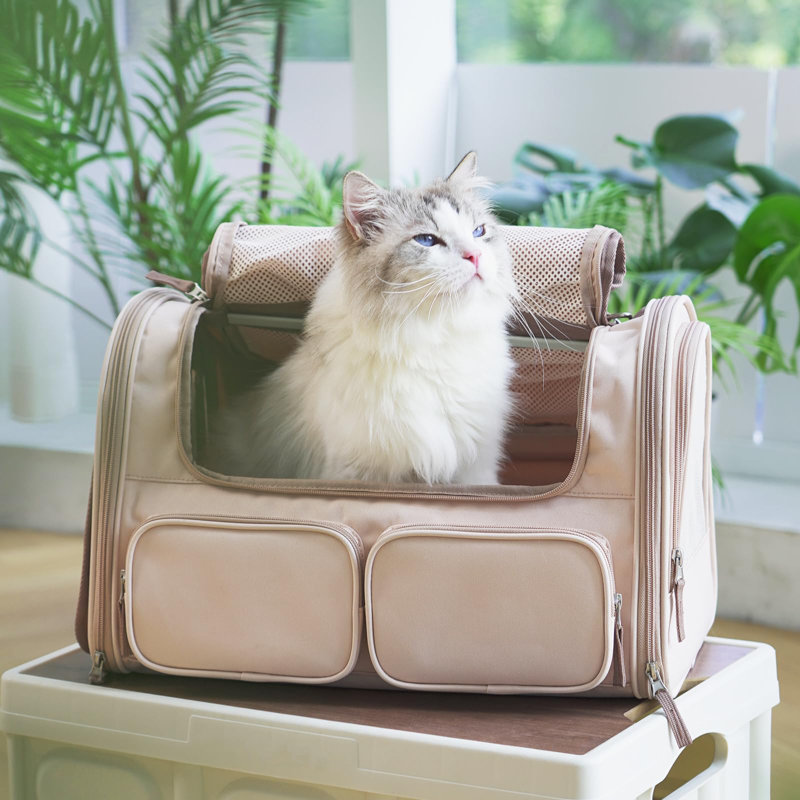 Pet Carrier, Pink