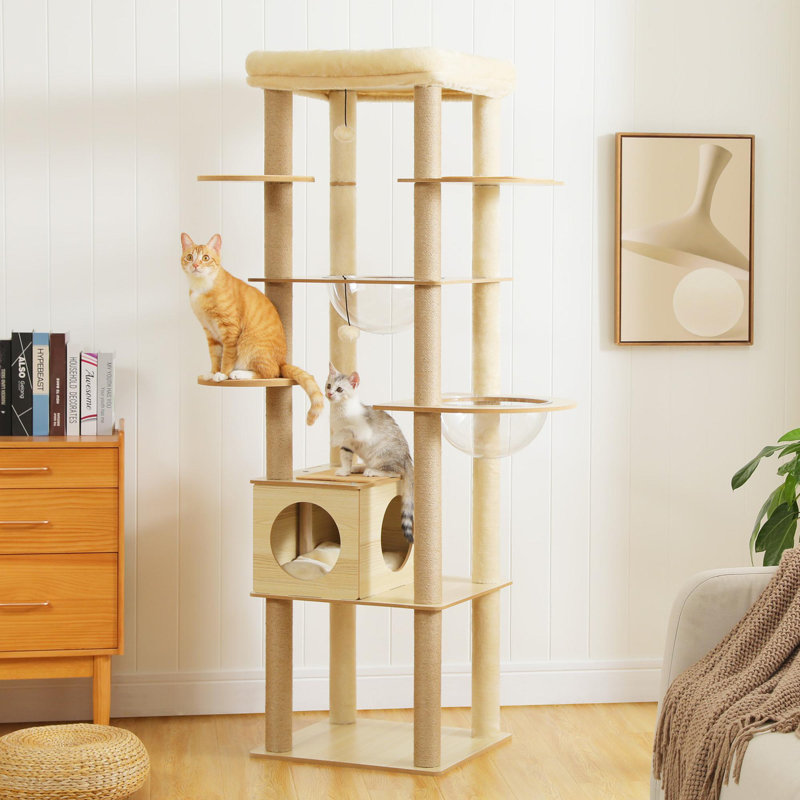 Multi-level luxury wooden cat tower with cat apartment, multi-level platforms, visible acrylic bowl, and top perch