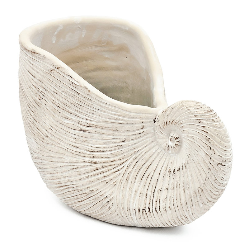 Textured Beige Finish Sand And Cement Shell Planter For Herbs Adding A Relaxed Feeling To Your Bedroom 11.5X6.7X7.7 Inches In Form With Neutral Colorway Trailing Plant Arrangements
