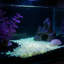 Sable fluorescent fluorescent pour aquarium, 4,33 pouces, rose-131214420