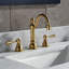 2-handle Bathroom Faucet with Drain Assembly-1154067163-1154067110