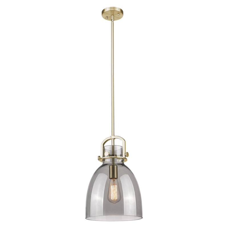 Luminaire suspendu 1 lumière Badillo, H 14,75 po x l 10 po x P 10 po, Bronze champagne, Gris fumée clair