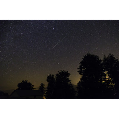 " Perseid Meteor Shower "