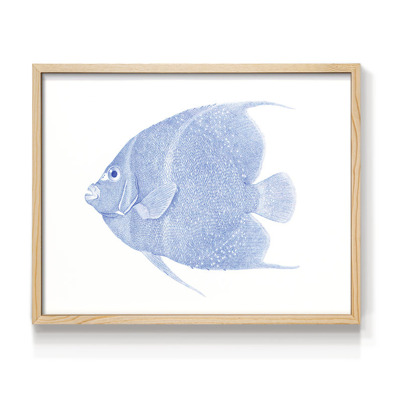 Poisson tropical bleu et blanc - impression encadrée - réarmable, Naturel, H 22 po x l 28 po