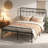 Metal Platform Bed-347146759-347146755