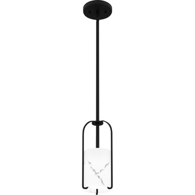1 - Light Matte Black Single Pendant