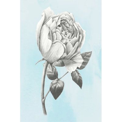 Graphite Rose II 1 Piece Wrapped Canvas Wall Art