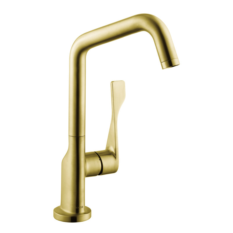 Citterio Pull Down Single Handle Kitchen Faucet with Accessories, Brushed Gold Optic
