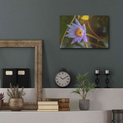 " Floral Colour Theory " by AKG