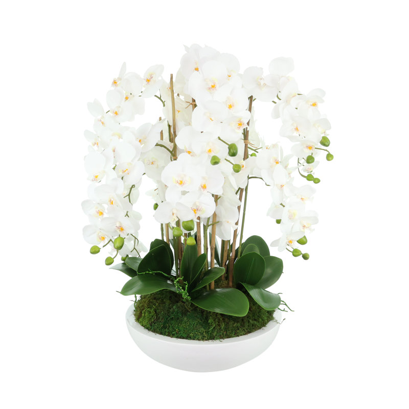 Orchid Arrangement in Round Fiberstone Pot, 31" H x 30" W x 30" D
