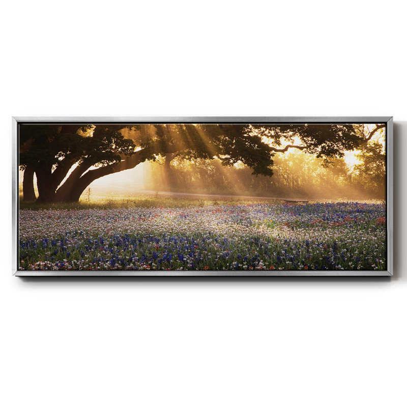 Morning Meadow - toile encadrée, H 20 po x l 50 po