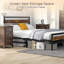 Neco Bed-1216188343