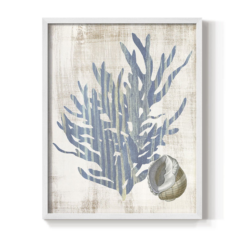 Reproduction encadrée de varech II - bois massif, H 21 po x l 17 po, Blanc