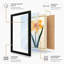 Daffodil Study Botanical - Framed Print-462310017-462310076