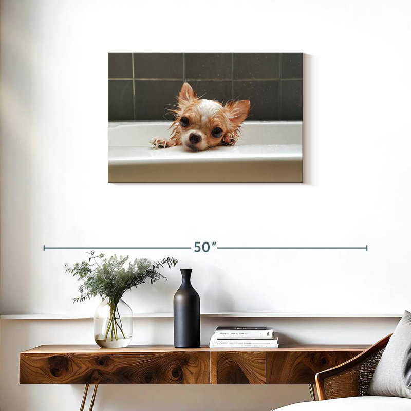Brampt Chihuahua Bathing