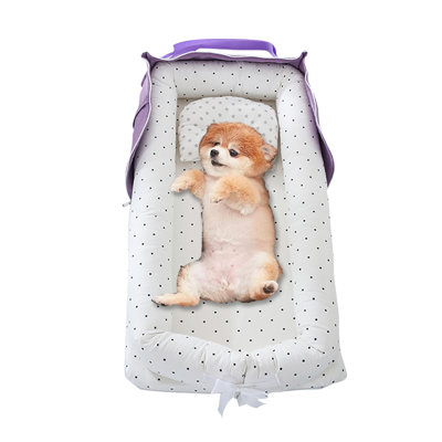 Lit pour chien Creative Creative Bed